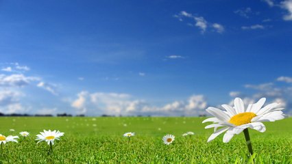 如何保养液压剪板机